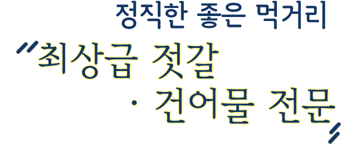 아름다운 제주와 함꼐하는 승마체험
